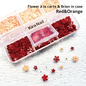 KiraNail KiraNail t[AJguI P[X bhIW  lCp[c WFlC |bV lCA[g lCpi WFlCpi ZtlC lCXg 