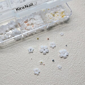 KiraNail KiraNail t[AJguI P[X zCg  lCp[c WFlC |bV lCA[g lCpi WFlCpi ZtlC lCXg nh