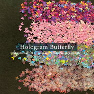 KiraNail HOLOGRAM バタフライ ケース入 ☆ ネイルパーツ 韓国 ホログラム ホロ キラキラ 蝶 蝶々 チョウ…
