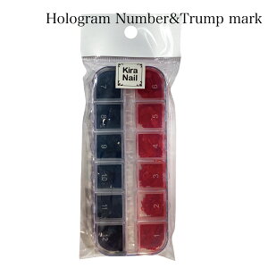 KiraNail HOLOGRAM io[&gv}[N P[X lCp[c WFlC |bV lCA[g lCpi WFlCpi ZtlC nhCh W 킢 }jL