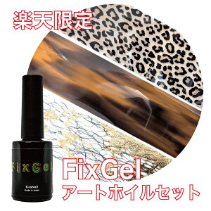 yyVzKiraNail Fix Gel 1{{A[gzC3_̂ȃZbg  WFlC lCA[g lCpi WFlCpi ZtlC lCXg nhChzO Ob^[ 