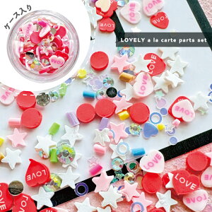 KiraNail LOVELYAJgp[cZbg P[X  lCp[c WFlC |bV lCA[g lCpi WFlCpi ZtlC lCXg nhCh o^C o