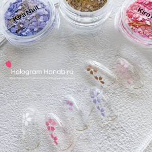 KiraNail HOLOGRAM Ԃт P[X  lCp[c WFlC lCA[g lCpi WFlCpi ZtlC lCXg tlC ~lC ghlC  Vv ؍