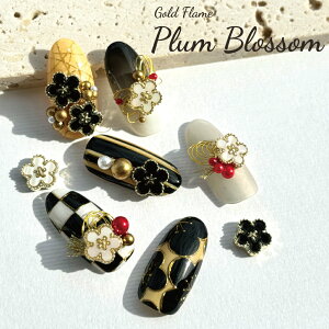 KiraNail S[ht[ vubT 3  lCp[c WFlC lCA[g lCpi WFlCpi ZtlC lCXg tlC ghlC  V