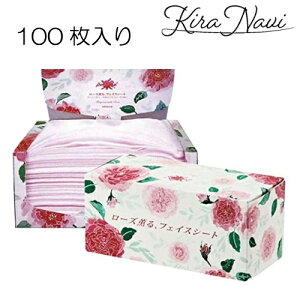 [YO tFCXV[g 100@4964656706753