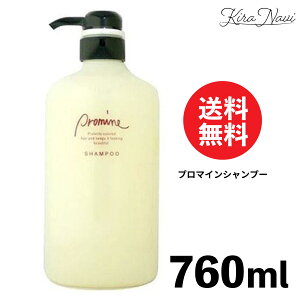 �i�J�m �v���}�C���V�����v�[ 760ml / NAKANO ���쐻�� �J���[�P�A �w�A�P�A �J���[�� �V�����v�[ �F���� ��F�h�~ �L���[�e�B�N�� �_���[�W �ی� �Ód�C �h�~ �c�� ���F �L�[�v �܂Ƃ܂� �w�A�J