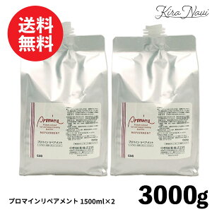 �i�J�m �v���}�C�� ���y�A�����g 3000g (1500ml×2) / NAKANO ���쐻�� �J���[�P�A �w�A�P�A �J���[�� �V�����v�[ �F���� ��F�h�~ �L���[�e�B�N�� �_���[�W �ی� �Ód�C �h�~ �c�� ���F �L�[�v �܂�