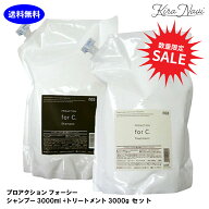 《数量限定大特価》【2点セット】ナンバースリー プロアクション フォーシー シャンプー3000ml＆トリート…