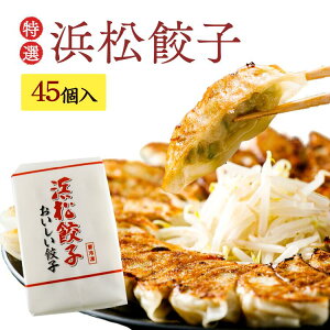 【送料無料!!】浜松餃子(45個)ご自宅用・ご贈答用