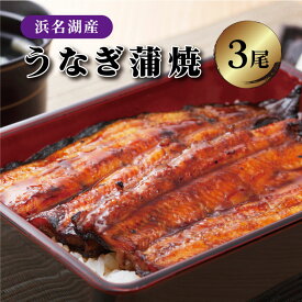 【送料無料!!】浜松・浜名湖 うなぎ 蒲焼 110g 3尾セット 国産