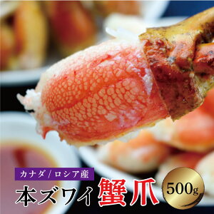 本ズワイ蟹爪 かに爪 500g(250g×2P)約13〜15個 ボイル冷凍 カナダ産 ロシア産 スリットカット入り[かに/カニ/カニ爪/ずわいがに/ズワイガニ/ズワイ蟹/ズワイがに/ズワイ蟹爪/リングカット/ボ