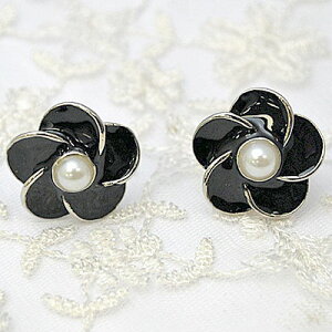 Ԃ̃p[̃CO zCg ubN  v[g Mtg