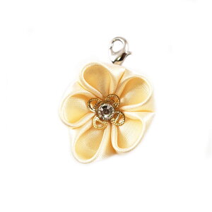 Ԃ̃}XN`[@}XNANZT[ [OK