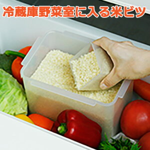 yВvHƐz①ɖ؎ɓĂт@p^vʃJbvt@e