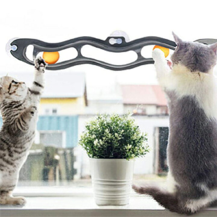 楽天市場 先着クーポン利用で950円 3 00 00 3 22 1 59 猫 おもちゃ 猫オモチャ 一人遊び ボール 窓用 吸盤式 トラック ボール トラックンロール ひとりで遊べる 転がる 猫用 猫用品 猫用おもちゃ ねこ 送料無料 Yu キラキラハイム