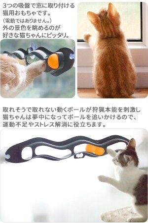 猫おもちゃ窓用吸盤式トラックボールトラックンロールひとりで遊べるボール転がる猫用猫用品雑貨玩具ペット用品送料無料yu*