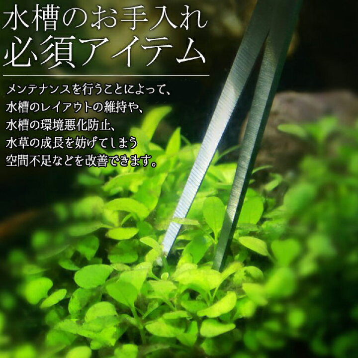 楽天市場 先着クーポン利用で1 596円 3 00 00 3 22 1 59 水槽 水草 トリミング 4点セット ハサミ ピンセット ロング お手入れ メンテナンス 水草用 はさみ フラッター プロレイザー 苔取り コケ取り アクアリウム 送料無料 Yu キラキラハイム