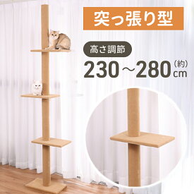 【LINE登録ですぐ使えるクーポン配布中】 キャットタワー 突っ張り スリム 賃貸 省スペース 高さ230〜286cm 突っ張りキャットタワー 突っ張り棒 木登り キャットステップ キャットウォーク キャットツリー 20cou