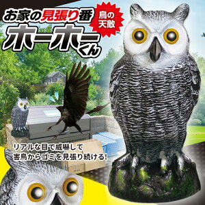 yő50%OFFN[|zz420` pz 悯 tNE ӂ낤 u Q΍ JX悯 JX  悯 ng悯 Ƃ̌ z[z[ 悯ObY x