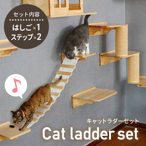 L̂͂ ݂苴 LbgEH[N Ǖt LbgXebv  I L ͂  Ǘp q 苴 LƋ LbgKi