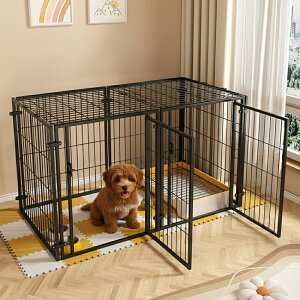 yz & 5%OFFN[|12/1 pz ybgT[N t hAt  L ybgpT[N P[W Q[W 2hA ybgtFX ybgQ[W ybgP[W LbgT[N 