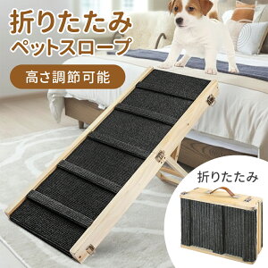 yő唼zN[|zz420`pz ybgX[v ܂肽   hbOXebv hbOX[v Xebv ybgpX[v pX[v hbOXebv 2܂