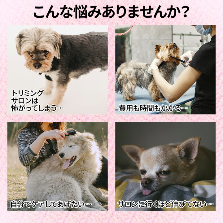 楽天市場 5 Offクーポン対象 11 15 10 00 23 59 トリミング シザー ハサミ カーブ 4本 7点セット ペット 犬 カット トリミングコーム カーブ セニングシザー すきばさみ ペット用品 お手入れ 初心者 簡単 安全 ケース付き 送料無料 キラキラハイム