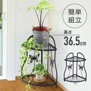 yő50%OFFN[|zz10/1 pz R[i[bN AeB[N R[i[bNI R[i[ I bN I[vbN t[X^h ACAbN 2i t[ X^h t