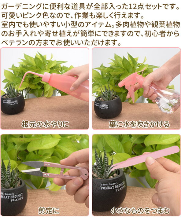 楽天市場 5 Offクーポン対象 10 15 0 00 10 16 23 59 多肉植物 寄せ植え に便利な お手入れセット 移植ゴテ 移植コテ 園芸 セット ガーデニング ガーデニングツール 観葉植物 ミニ盆栽 水差し スコップ ピンセット はさみ 霧吹き 送料無料 Yok 12ss キラキラハイム