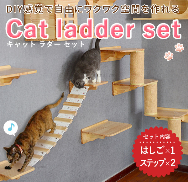 楽天市場】【LINE登録で100円OFFクーポン】 猫のはしご 吊り橋