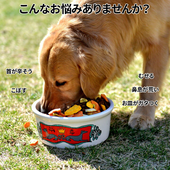 楽天市場 5 Offクーポン対象 11 10 00 23 59 餌入れ エサ入れ 大型犬 犬 フードボウル 高さがある スタンド フードテーブル 水入れ エサ入れ 脚付き 2連 大型犬用 フード入れ 水飲み器 給餌器 2列 お皿付き 食器台中型犬 送料無料 12ss キラキラハイム