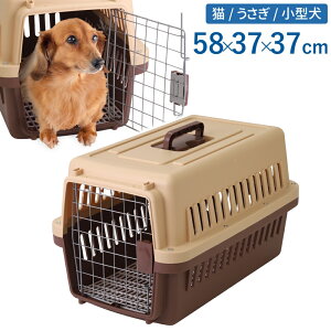 yő50%OFFN[|zz10/1 pz N[g nEX ^ ^ ybgL[ n[hL[ 58×37×37cm ybgP[W ybgQ[W L[P[X ybgnEX ybgL