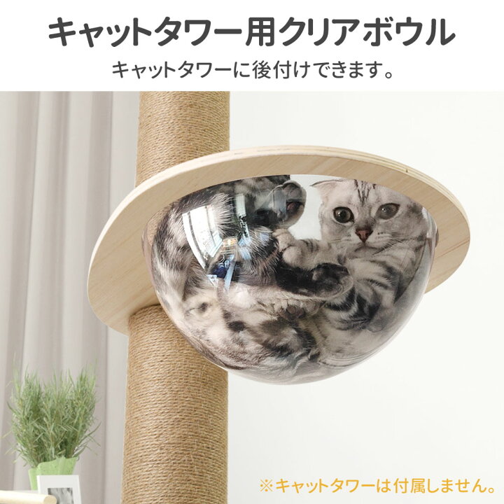 楽天市場】【最大500円OFFクーポン配布18日まで 利用条件あり 