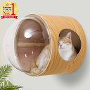 【半額クーポン 3/4 20時～先着順 一部商品除く】 猫 ステップ 宇宙船 猫ハウス ペット用ベッド ドーム状 壁付け 床置…