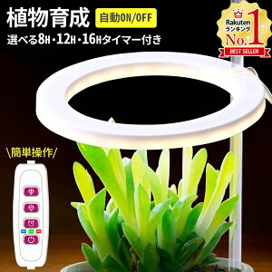 yő7%OFFN[|1420:00`pz A琬Cg LED A琬 Cg X^h LEDCg O^ ACg A 琬 O  琬Cg USB USBd ^C}[t Ǝ 