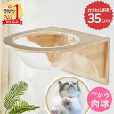 【5%OFFクーポン21日23:59迄 利用条件あり】 キャットウォーク 猫 壁掛け キャットステップ 猫用 壁取り付け 壁面用 キャットタワー ハンモック クリアステップ キャット ステップ キャットツリー 壁用 壁 壁掛け用 壁付け 6ss