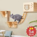 【5%OFFクーポン21日23:59迄 利用条件あり】 キャットウォーク 壁 キャットステップ 5点セット 壁付けセット キャットハウス 猫 壁掛け キャットタワー キャット ステップ キャットハンモック はしご 足場 キャットツリー 壁用 棚板 木製 木 6ss
