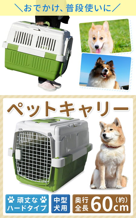 楽天市場 ハードキャリー クレート 中型犬 ペットキャリー 60 45 48cm キャリーケース クレートハウス ペットゲージ ペットケージ ハード トラベルキャリー 旅行 ドライブ ペットキャリーケース 送料無料 キラキラハイム