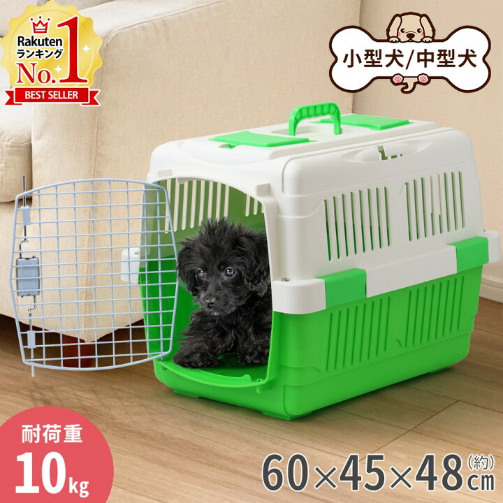 楽天市場】【最大400円OFFクーポン配布12日23:59迄 利用条件あり】 犬 