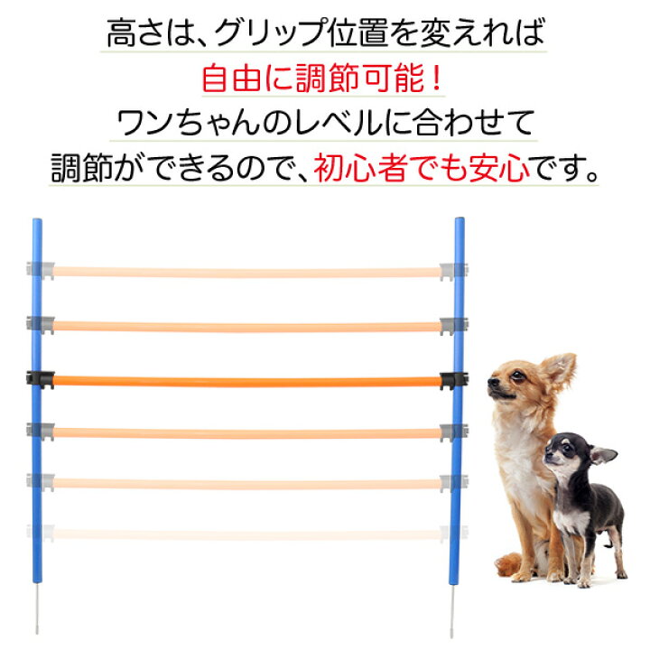ランキング総合1位 ドッグアジリティ トンネル 犬 トレーニング ドッグアジリティー アジリティー ペットアジリティ ジャンプバー ハードル ドッグ 障害物 柵 競技 discoversvg.com ランキング総合1位 ドッグアジリティ トンネル 犬 トレーニング ドッグアジリティー アジリティー ペットアジリティ ジャンプバー ハードル ドッグ 障害物 柵 競技 discoversvg.com