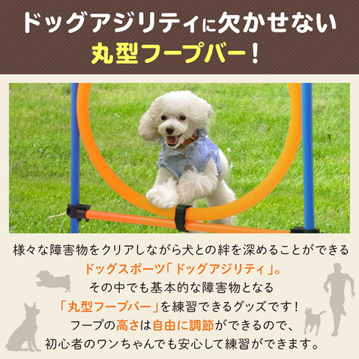 楽天市場 Line登録で100円offクーポン ドッグアジリティ ジャンプバー ハードル フープバー 丸形 犬用 障害物 アンカータイプ 犬用品 アジリティグッズ 組み立て ドッグラン アンカー式 犬 訓練 練習 トレーニング 障害物訓練 しつけ 競技 運動器具 屋外 送料無料 Yu