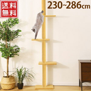 楽天市場 キャットタワー 突っ張り スリム 省スペース 高さ230 286cm 突っ張りキャットタワー キャットステップ キャットウォーク 突っ張り式 突っぱり キャットツリー 送料無料 Yu 0427 キラキラハイム