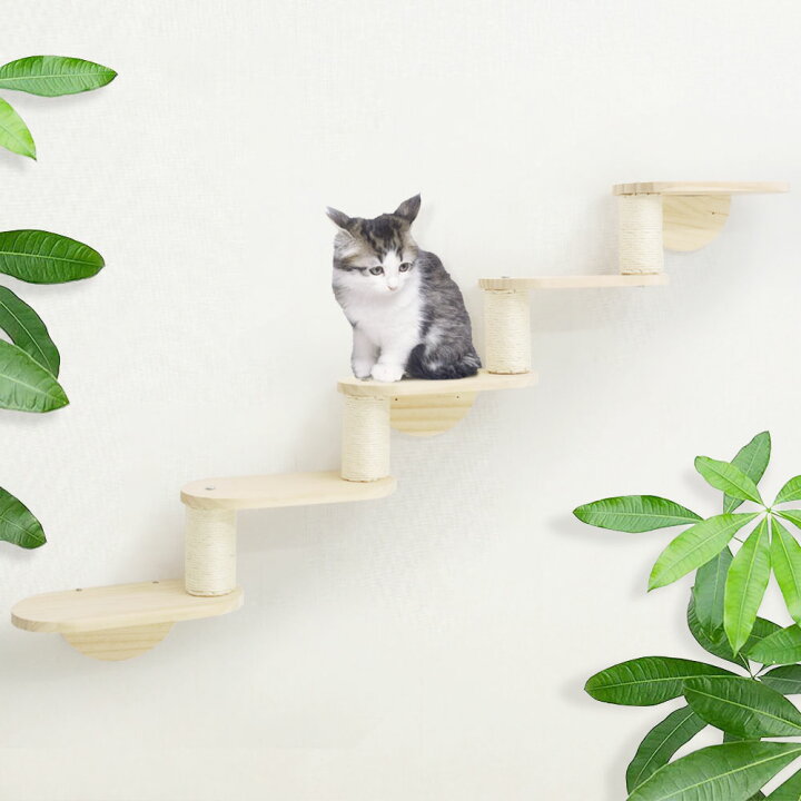 楽天市場】【LINE登録ですぐ使えるクーポン配布中】 キャットステップ 
