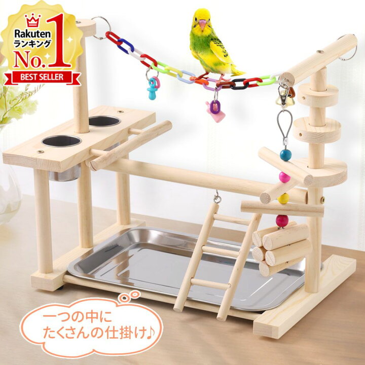 楽天市場】【LINE登録で200円OFFクーポン配布中】 インコ オウム 