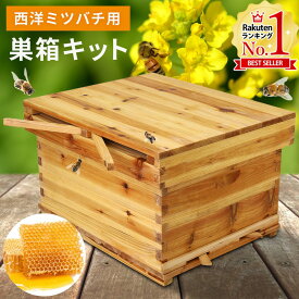 【最大400円OFFクーポ配布中 利用条件あり】 巣箱 ミツバチ 西洋 養蜂 器具 養蜂用具 ミツバチ箱 飼育セット バンブルビー巣箱 ハチ巣箱 巣箱キット ミツバチの巣箱 はちみつ ハチミツ 蜂蜜 みつばち 木製 巣枠