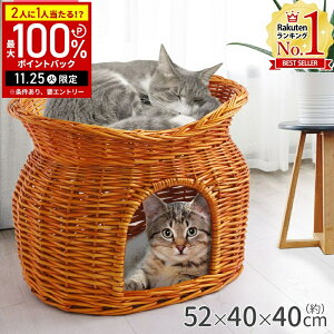 yIm1/2Iōő100%|CgobN25z L  2i LbgnEX ^ybgnEX h[^ybgnEX L xbh ܂ nEX h[^ ybg 3ss