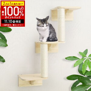 yIm1/2Iōő100%|CgobN10z LbgXebv ܂Ƃ LbgEH[N  I 2i 30cm Lbg^[ LbgnbN  Lbg Xebv Lbgc