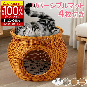 yIm1/2Iōő100%|CgobN25z L  2i }bgt xbh ܂ nEX LbgnEX ybgnEX h[^ybgnEX h[^ Lp Lpi LƋ