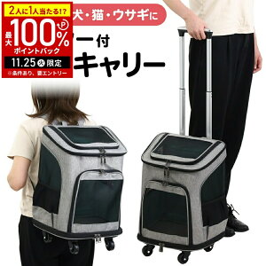 yIm1/2Iōő100%|CgobN25z ybgJ[g L[obO  bN ybgL[  L L[ ybg L[P[X ybgL[ J[g LX^[t