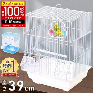 yIm1/2Iōő100%|CgobN10z P[W ^  y o[hP[W ~܂ CR a   o[h  IE ZLZCCR gJS  9s